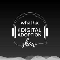 The Digital Adoption Show